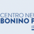 IRCCS Centro Neurolesi Bonino Pulejo 